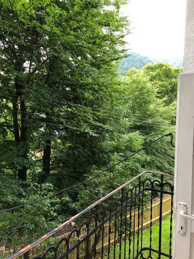 Manyi Villa BaileTusnad Eksteriør billede