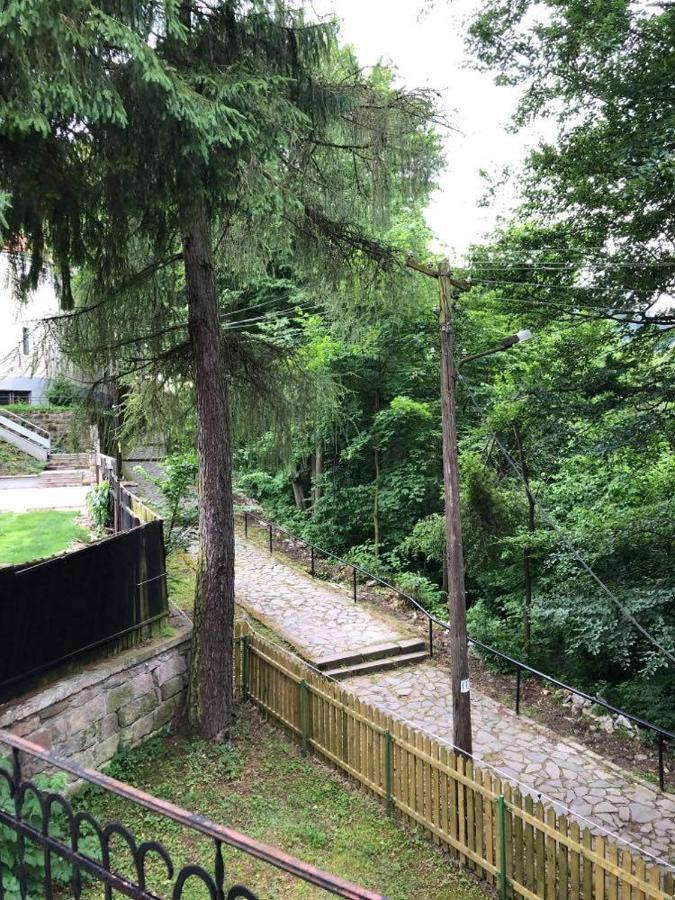 Manyi Villa BaileTusnad Eksteriør billede