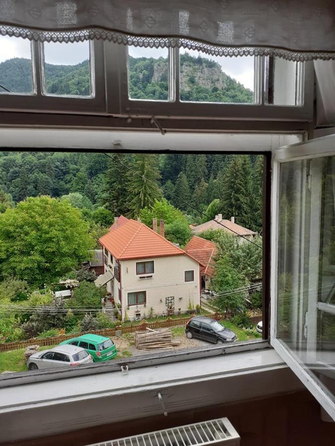 Manyi Villa BaileTusnad Eksteriør billede